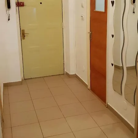 Apartment Central Studio Parcul Circului *